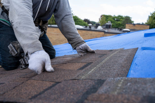 Best Residential Roofing Contractor  in Plafield, IN